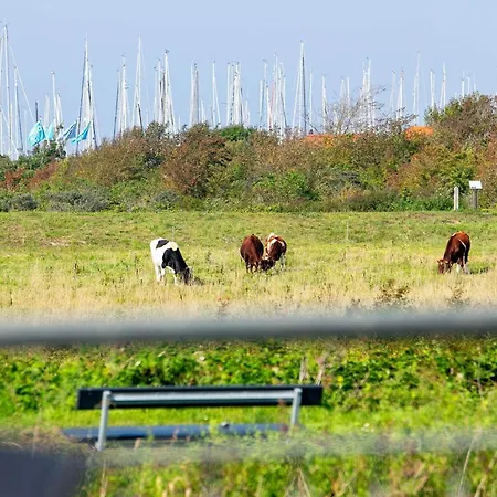 8 Person In Bogense-by Traum *